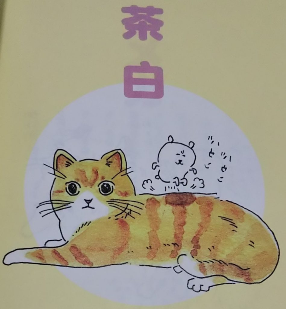 自分ツッコミくま ねこくま めしくまを読んでみた 自分ツッコミくま王国