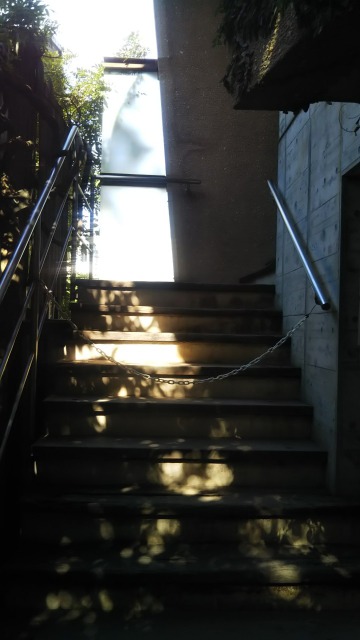ラピュタ阿佐ヶ谷の階段