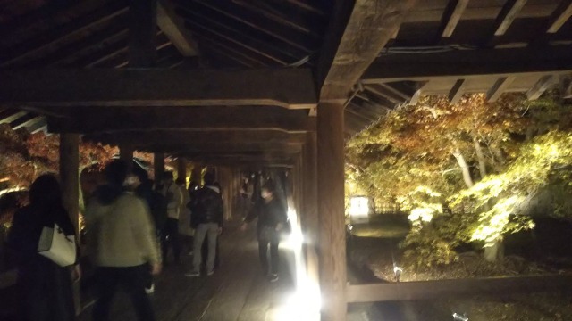 東福寺夜間拝観で見た通天橋