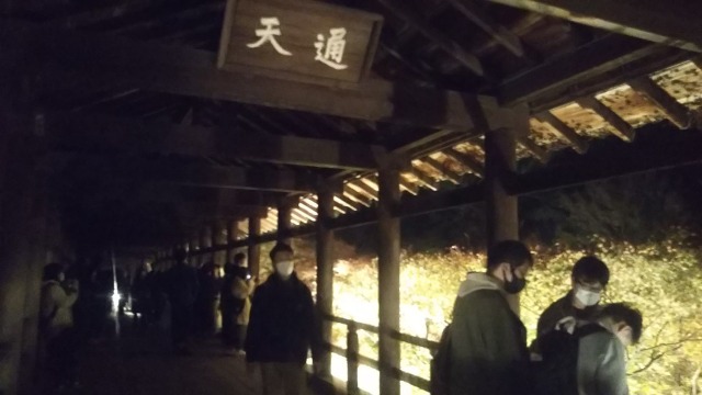東福寺夜間拝観で見た通天橋