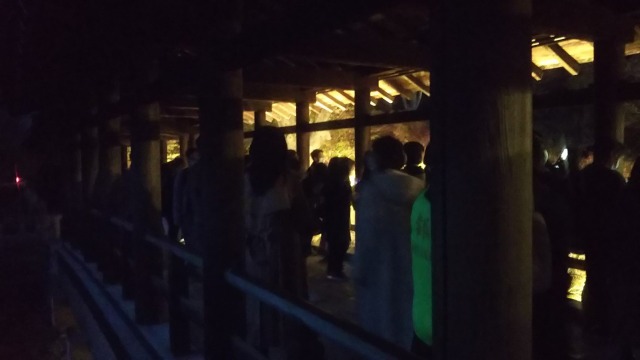 東福寺夜間拝観で見た通天橋