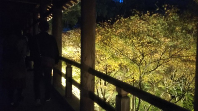 東福寺夜間拝観で見た通天橋