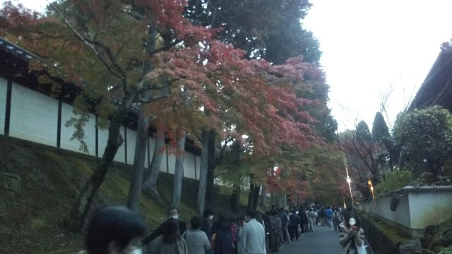 東福寺夜間拝観の行列