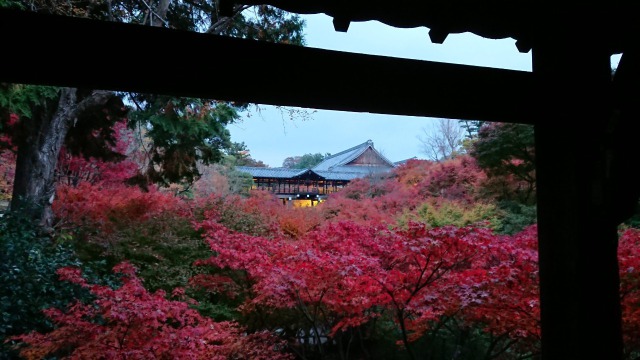 遠くから見た東福寺