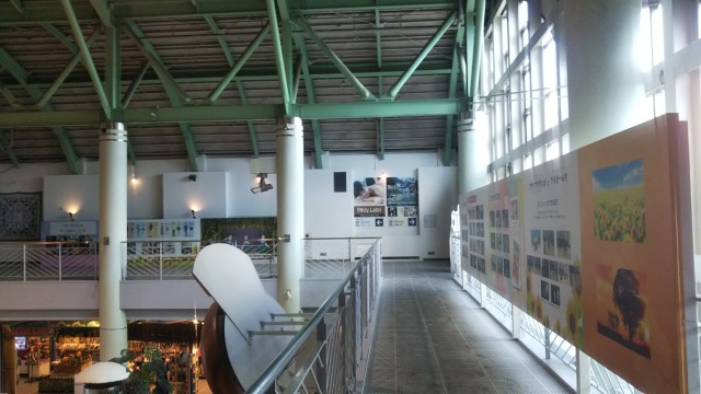 映画フラフラダンス聖地スパリゾートハワイアンズのフラフラダンスパネル展