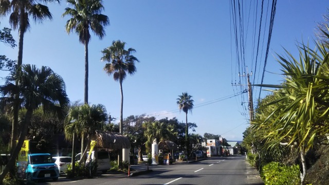 奄美大島ばしゃ山のバス停付近