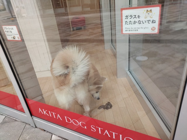 秋田犬ステーション外観の秋田犬