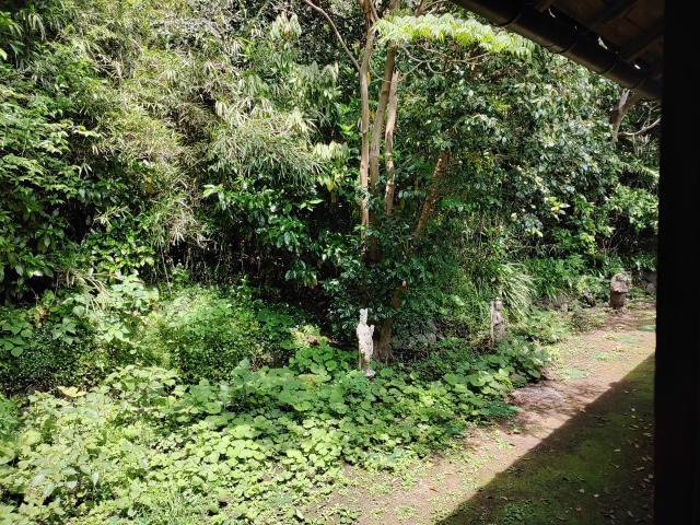鎌倉市川喜多映画記念館の旧和辻哲郎邸の庭