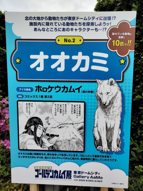 ゴールデンカムイ展東京ドームに隠れているオオカミ