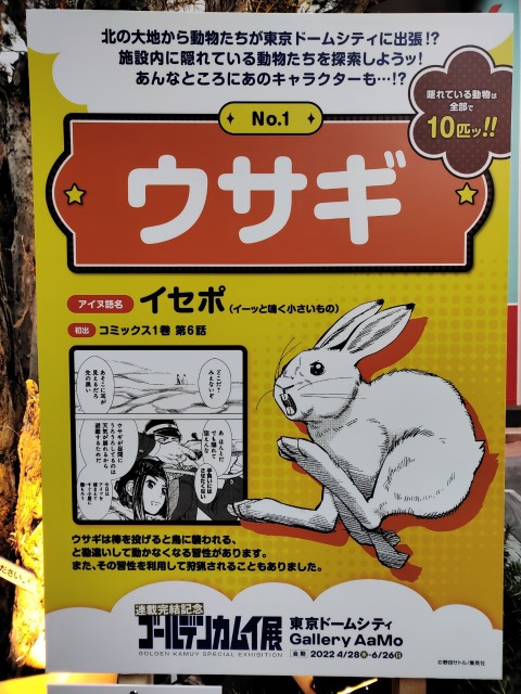 ゴールデンカムイ展東京ドームに隠れているウサギ